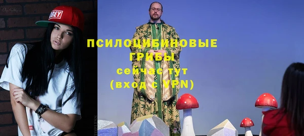 герыч Алексин