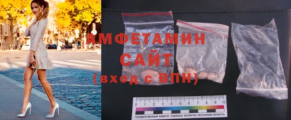 стаф Алзамай