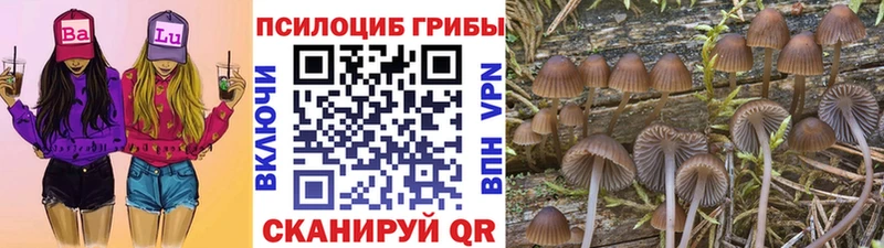 площадка формула  OMG ССЫЛКА  Углич  Псилоцибиновые грибы GOLDEN TEACHER 